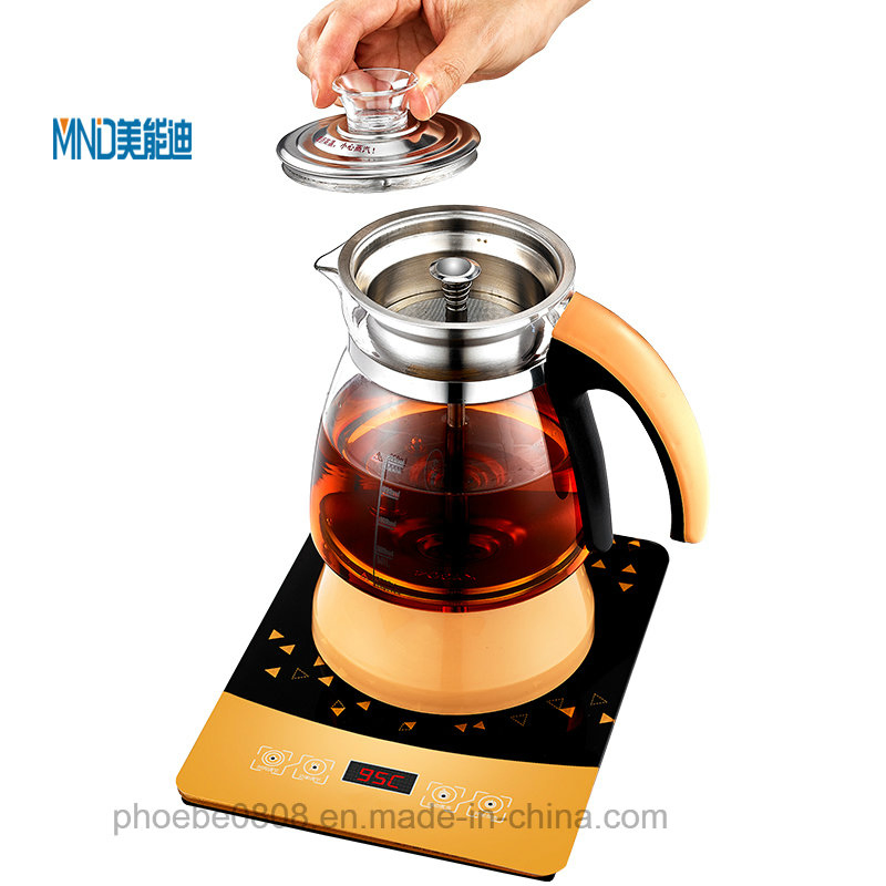 China Supplier Automatic Shut-off Electric Water Tea Kettle for Household