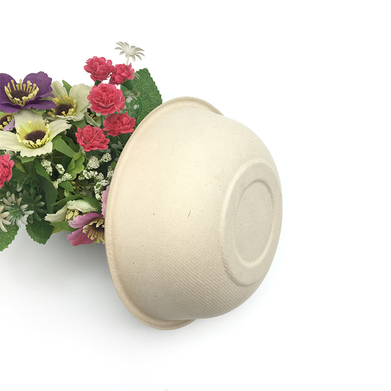 Heavy Duty Tableware Biodegradable Sugarcane Salad Bowl with Fork and Spoon