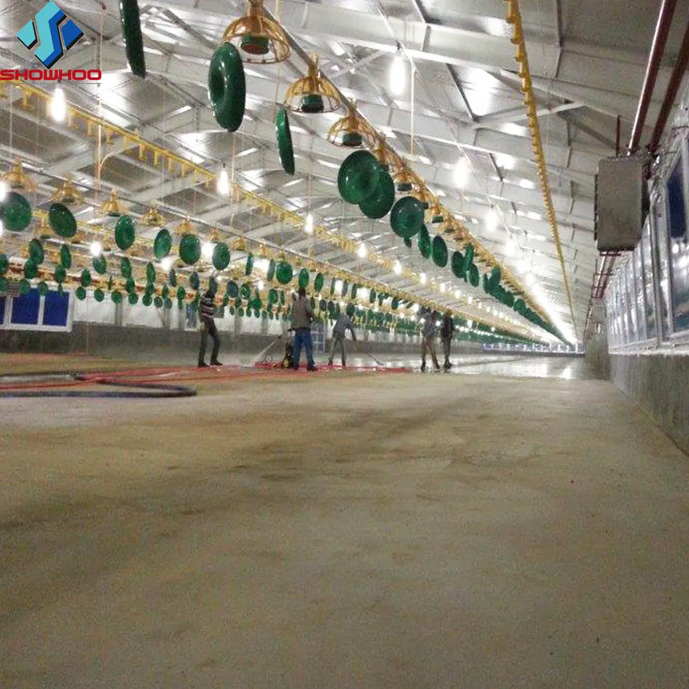 Steel Structure Poultry Farm House Chicken Shed Chicken Barn Construction