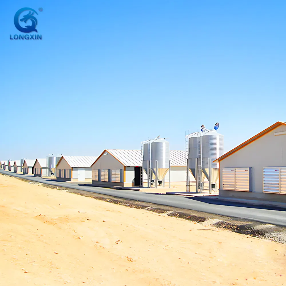 Steel Structure Chicken House Egg Laying Hens Chicken Coop Farm Small Chicken Poultry with Low Price