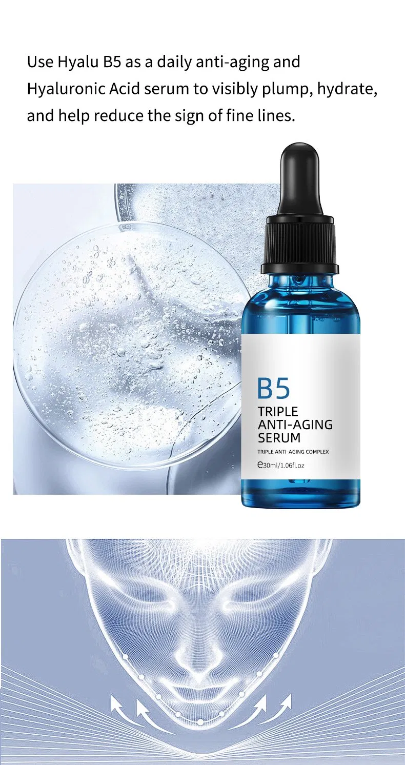 Hot Sale Cream Texture Wrinkles Cream for Daily Anti-Aging Care