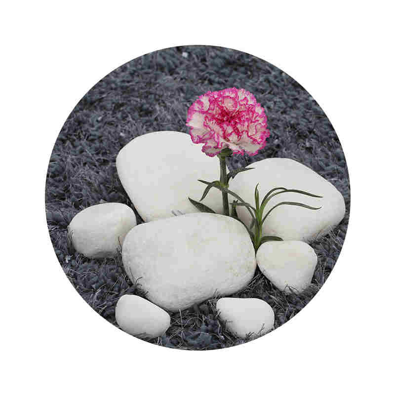 Factory Supply Garden Natural Tumbled Round Snow White Pebble for Sale