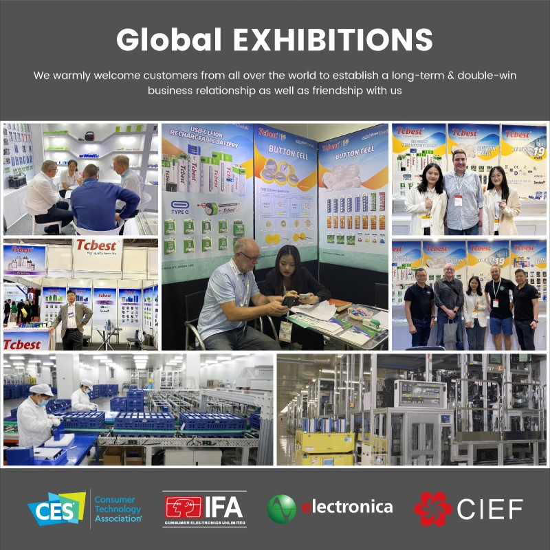 Un38.3/MSDS Rechargeable 3.7V 1000mAh 102050 Lipo Lithium Ion Battery for Home Appliance