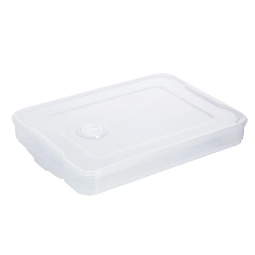 Food-Grade Three-Color Rectangular PP Dumpling Storage Container