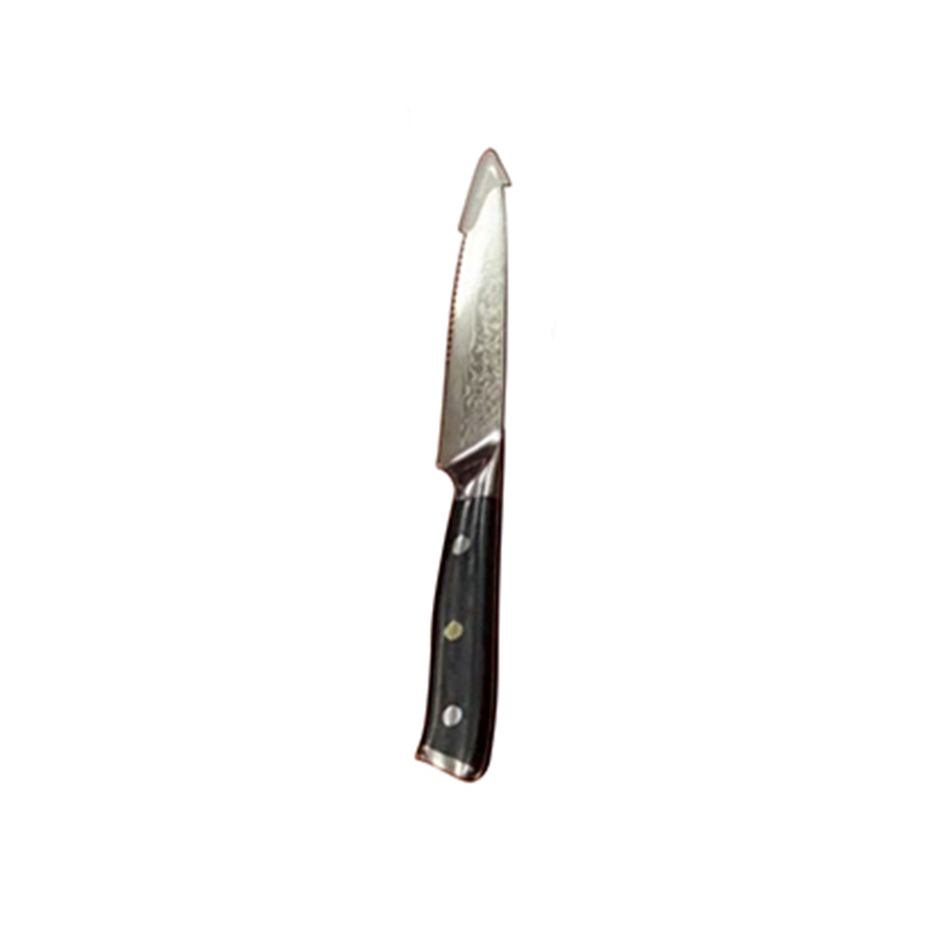 3 Inch Paring Knife Small Kitchen Peeling Knife Damascus Steel Blade