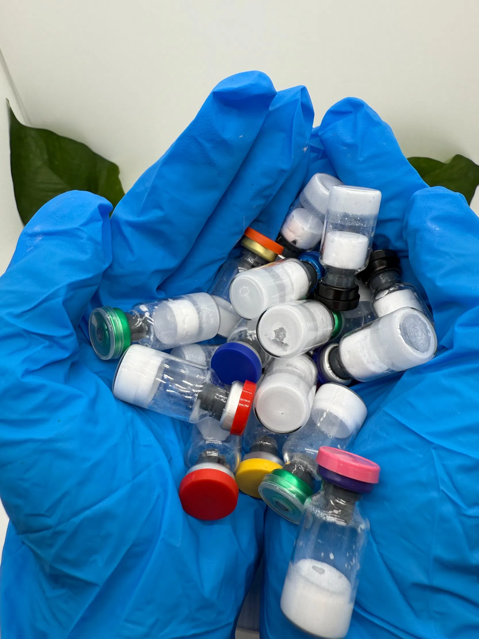 The Beauty High-Quality Peptides+Supply Peptide Factory Peptide Peptide Lyophilized Powder Peptides Vials Peptides