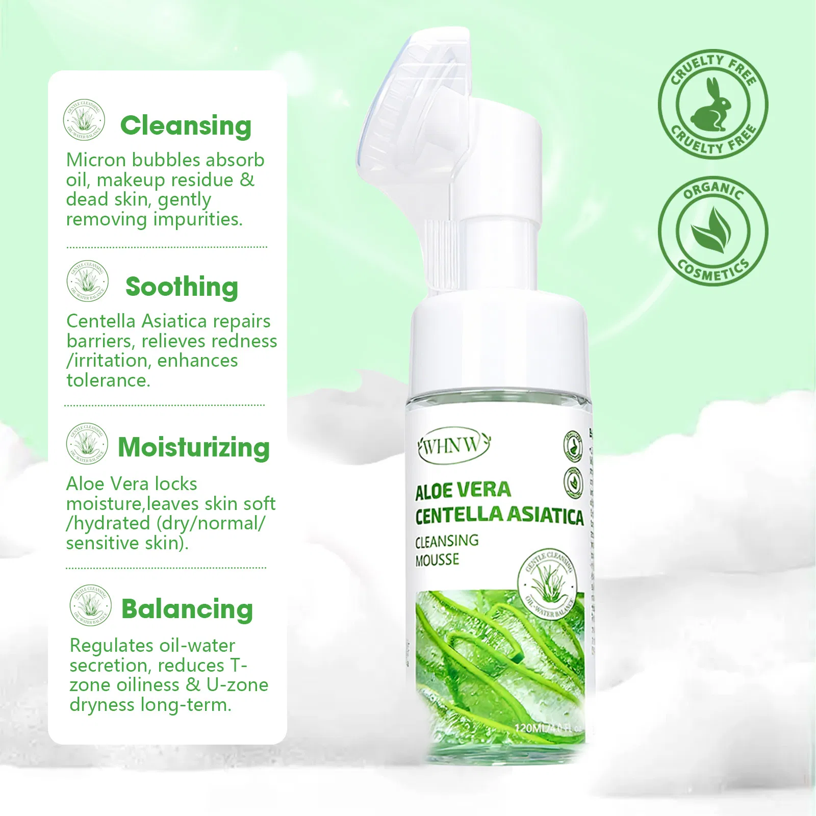 Beauty Cosmetics Wash Refine Skin Texture Aloe Vera Centella Asiatica Cleansing Mousse