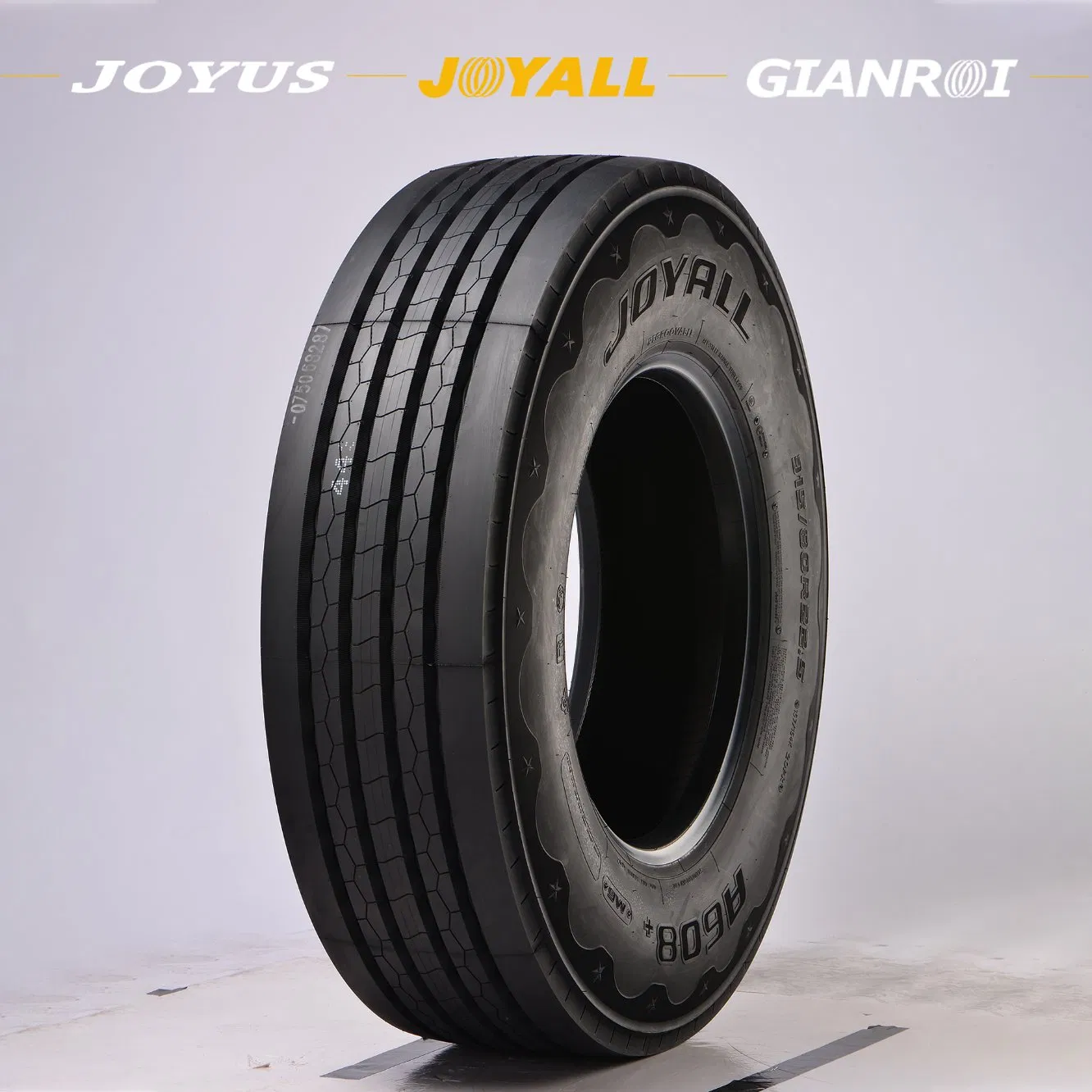 Radial Truck Tire ISO9001 Approved Direct Sale from Chinese Factory