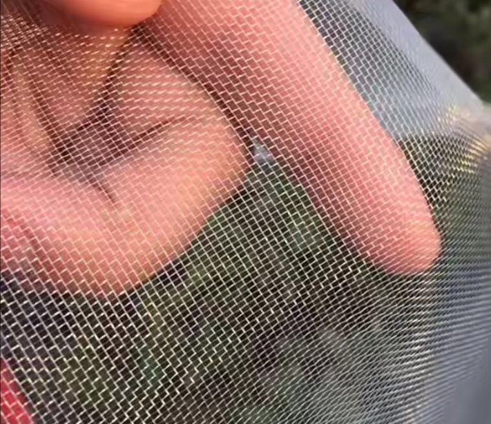 Insect Netting Mosquito Screen Agriculture Insect Net Mesh