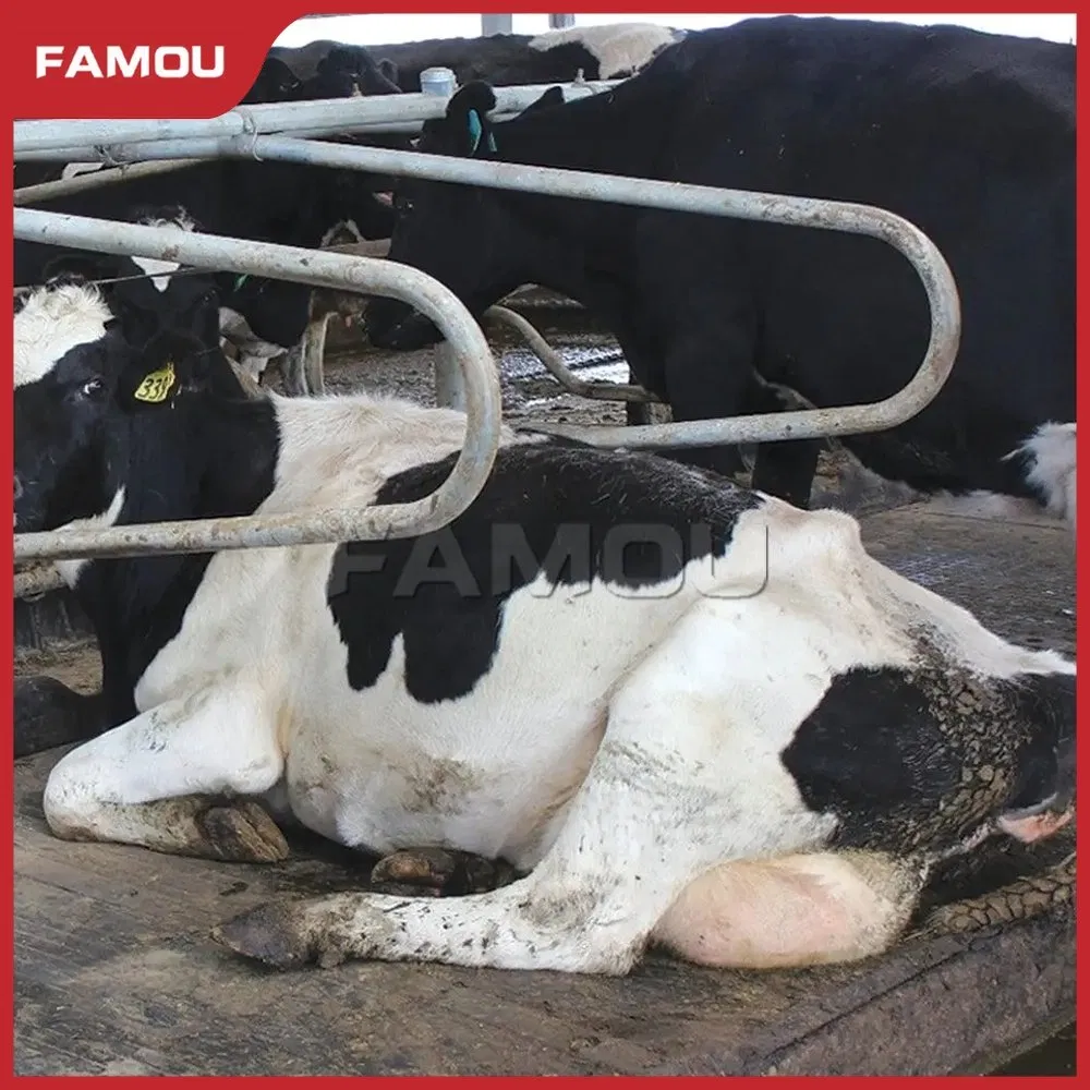 Galvanized Heavy-Duty Livestock Fence Utilization Galvanized Panels Cubicle Cow-Free Stall