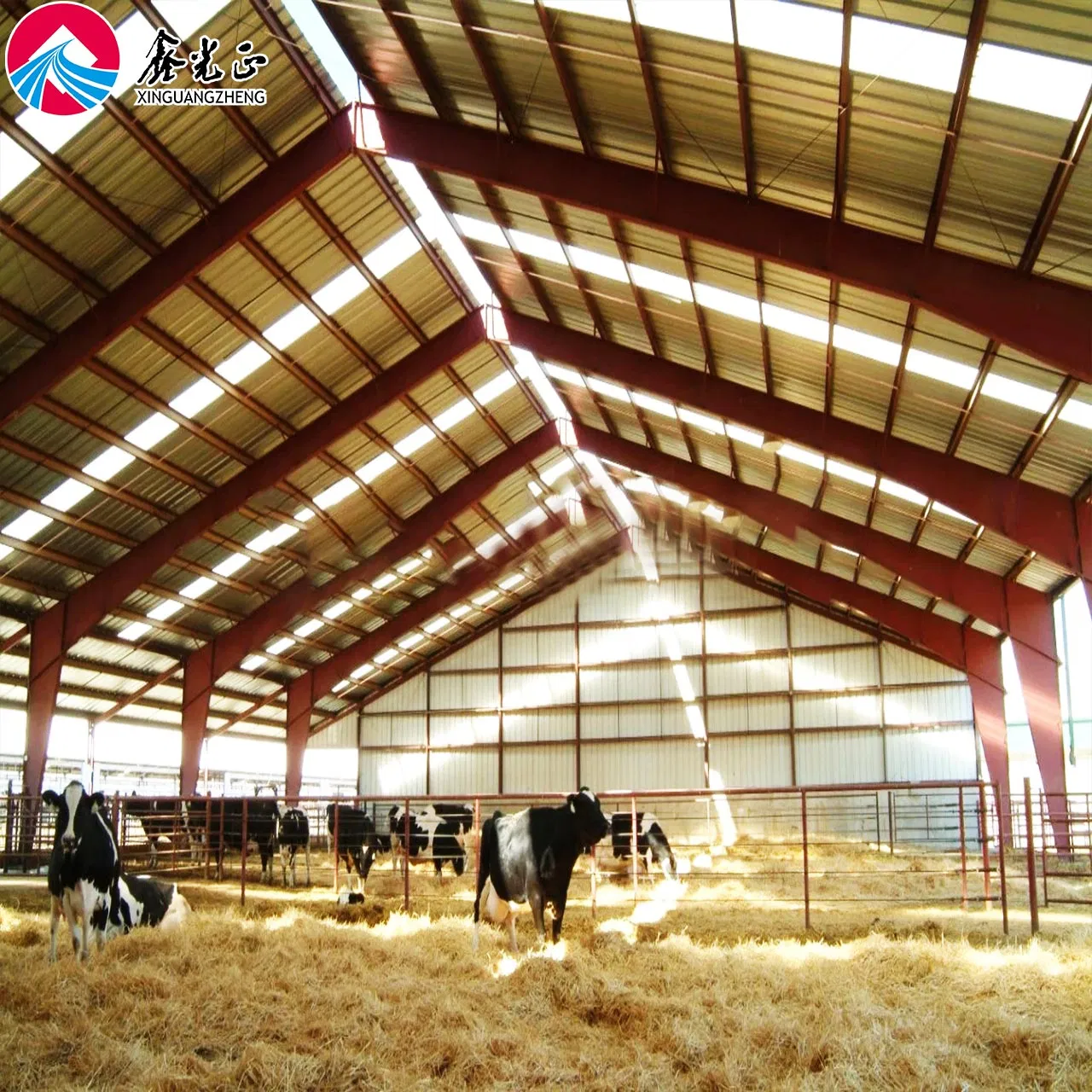 H Welded Beam and Column Steel Structure Prefabricated Horse Stall