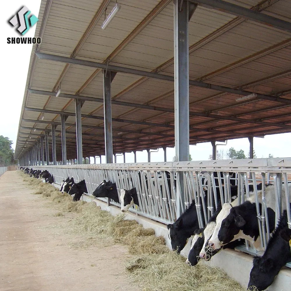 Steel Structure Livestock Barn Design Prefabricated Cow Farm House Building Cattle Shed