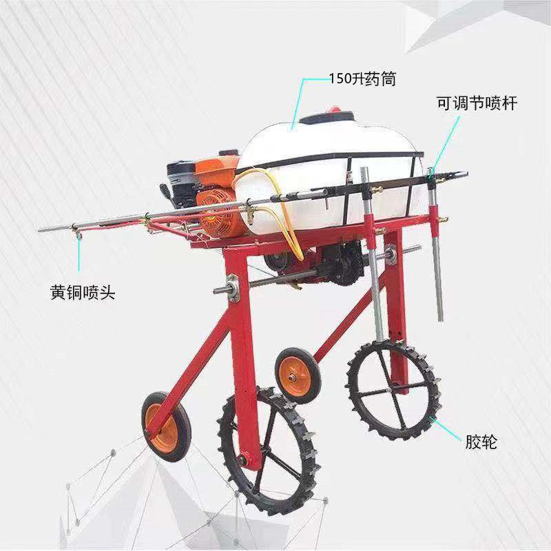 Hand-Push Self-Propelled Spraying Machine