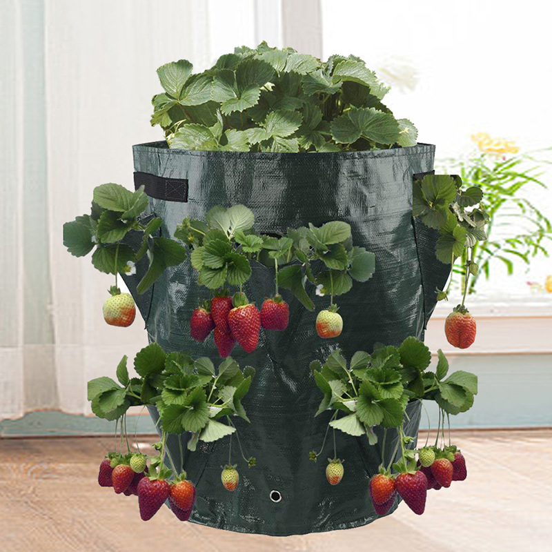 Plant Growing Bag Felt Nonwoven Fabric