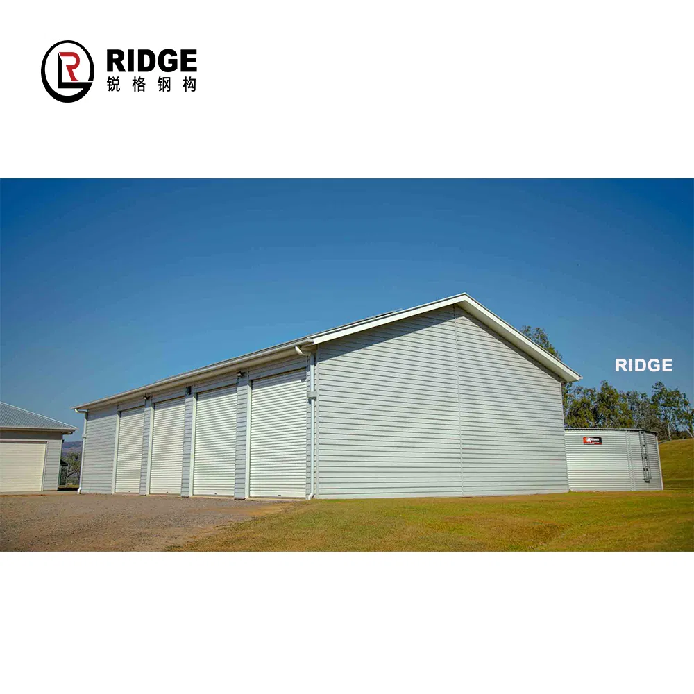 Customized Steel Structure Shed Gable Roof Garden Shed for