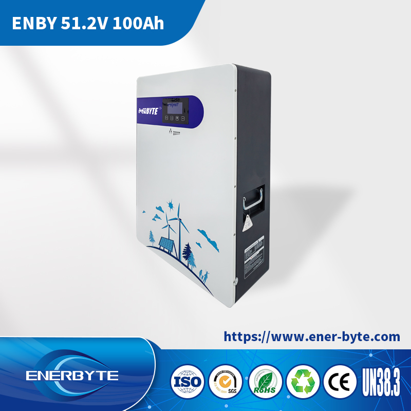 Литий-ионная система хранения энергии 51.2V 100Ah для дома и солнечных панелей