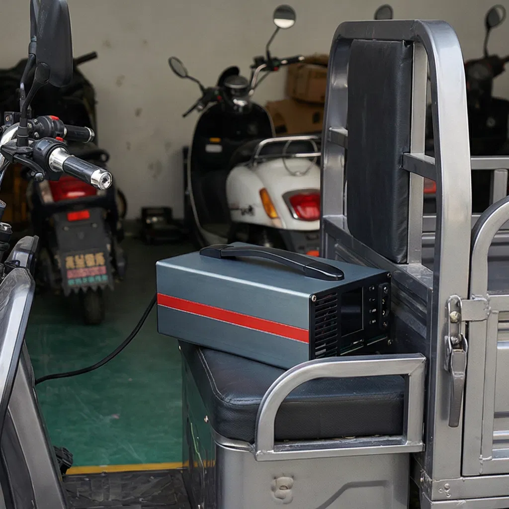 Premium 20A Lithium Iron Phosphate Charger for Global Distribution