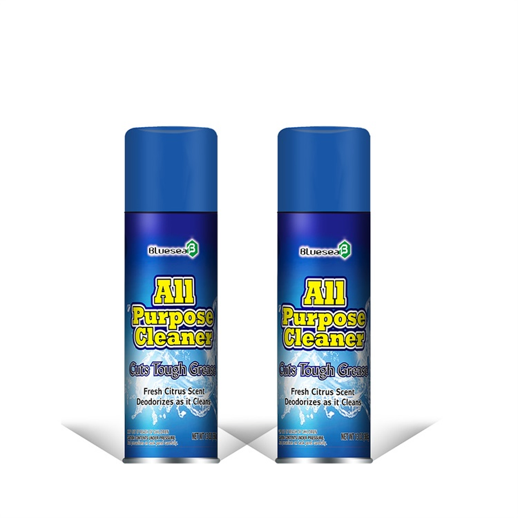OEM Car Stain Cleaning Detergent Spray Multifunctional Car Foam Cleaner Spray