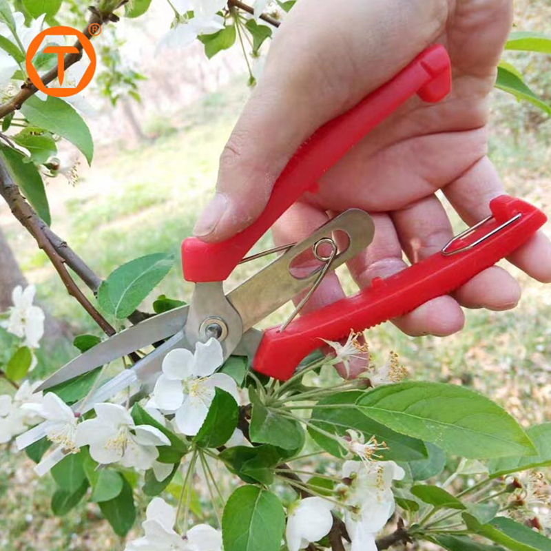Pruning Shears Bonsai Agricultural Fruit Tree Cutting Scissor for Grape Apples Trimming