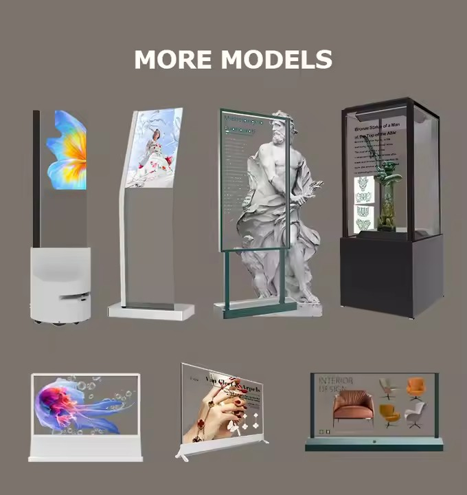 30-дюймовый прозрачный OLED дисплей с сенсорным экраном