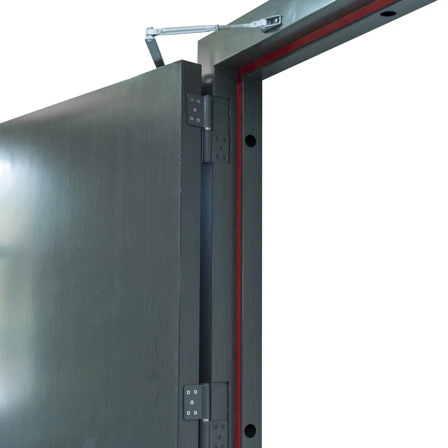 Heavy-Duty Steel Fire Door with Security Features and Safety Certifications