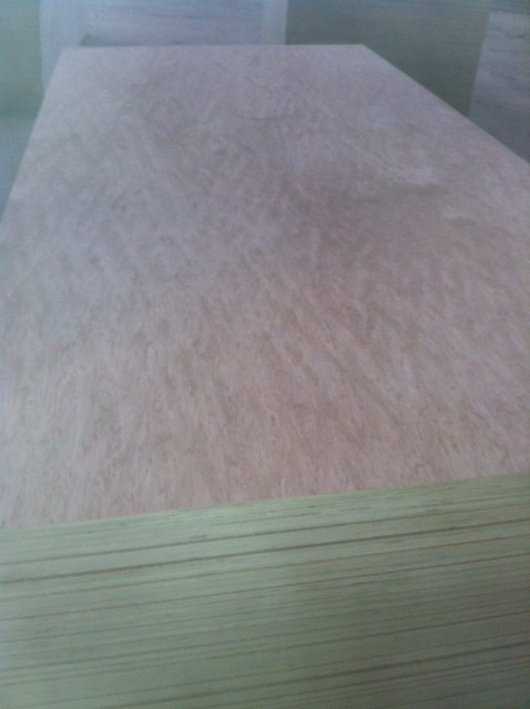 Bintangor Plywood Two Time Hot Press