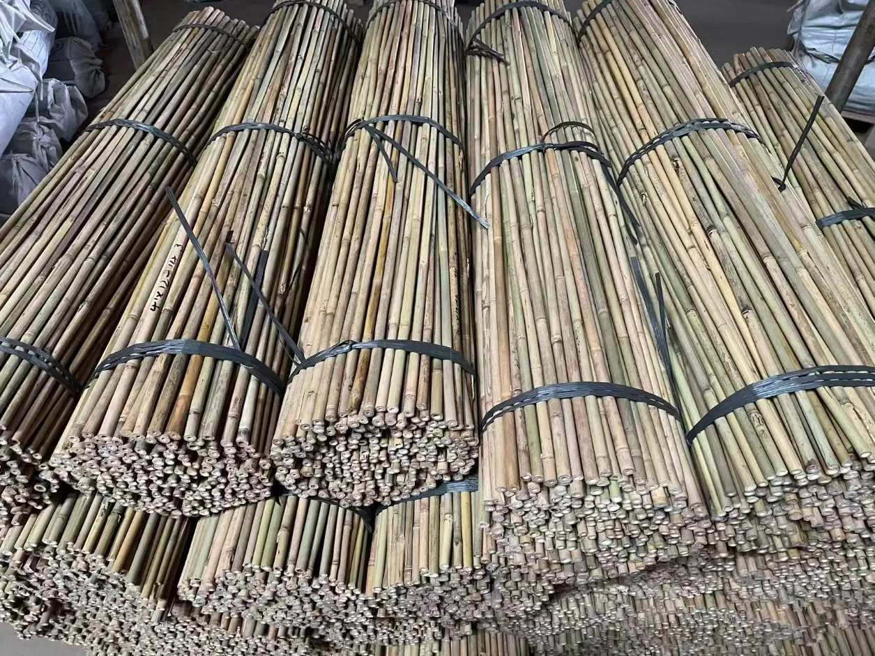 Factory Hot Sale Natural Bamboo Raw Materials Bamboo Pole Cane Stakes for Horticulture Plantation Support