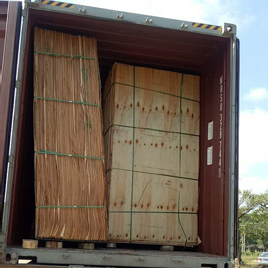 Dry Grade a 0.5mm Rotary Cut New Zealand Radiata Pine Wood Face Veneer Without Nut for Furniture
