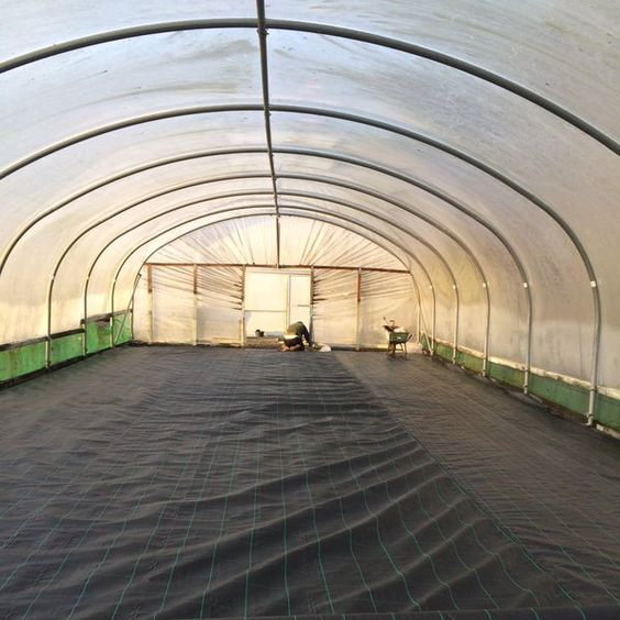 Plastic Film Tent Tunnel Greenhouse Steel Structure for Sale