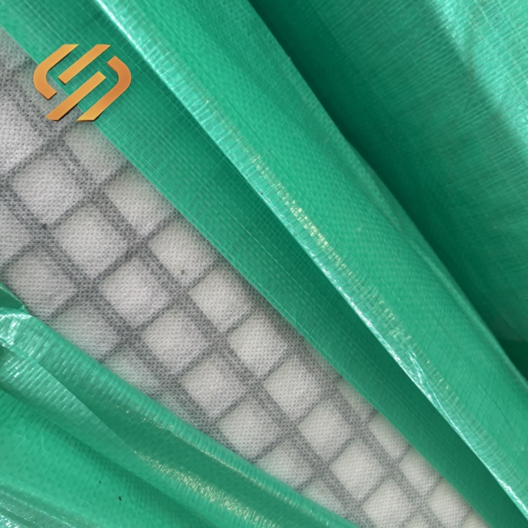 Geocomposite Composite Geogrid 30kN 50kN 80kN 100kN 120kN 150kN 200kN Warp Knitted Fiberglass Grid Pet Polyester Geogrid PP Biaxial Geogrid with Geotextiles