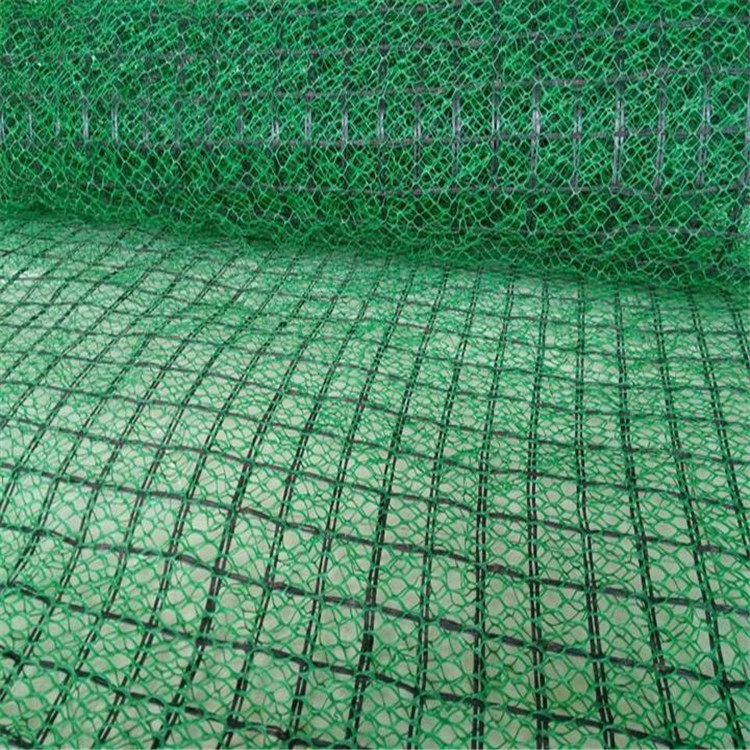 3D Geomat Errosion Control Mat and Plastic Geomat Polyamide PA6 Geomat