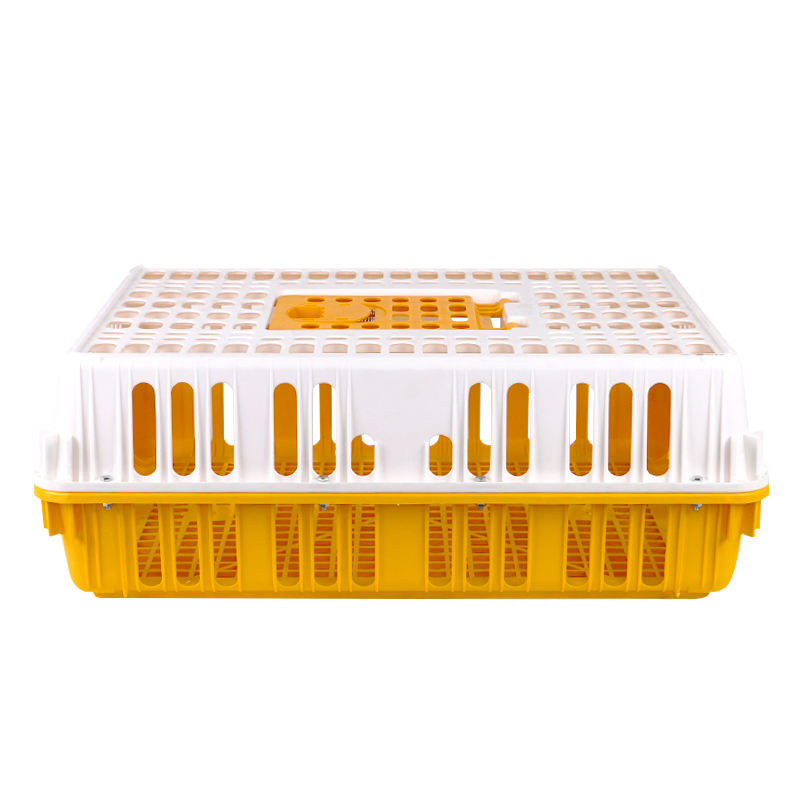 Plastic Chicken Transport Box Live Chicken Transfer Box (002)
