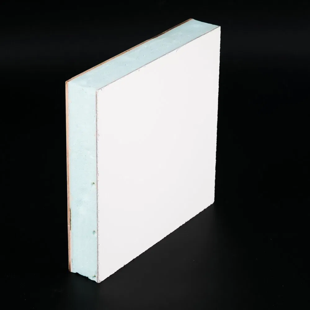 XPS/EPS/PU Polyurethane/PP Honeycomb GRP FRP Fiberglass Sandwich Panels for Caravan