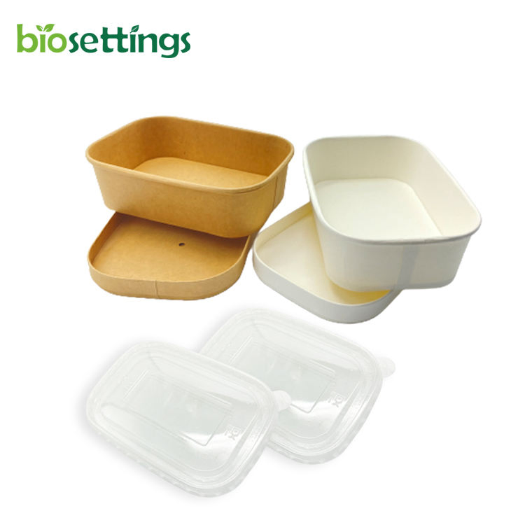 Premium 500ml Food Storage Container for Takeout Meals