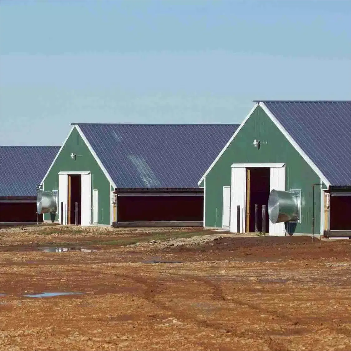 Premium Steel Chicken Coop Featuring Smart Technology Innovations