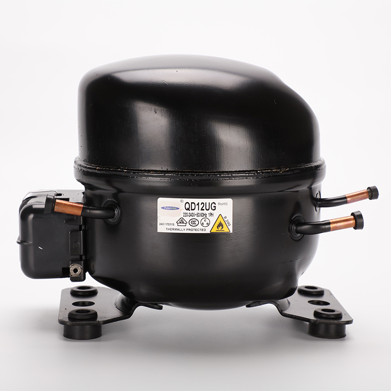 Bsf60AA Refrigeration Parts Lbp R600A AC Refrigerator Cooler Compressor 220-240V 50Hz for Sale