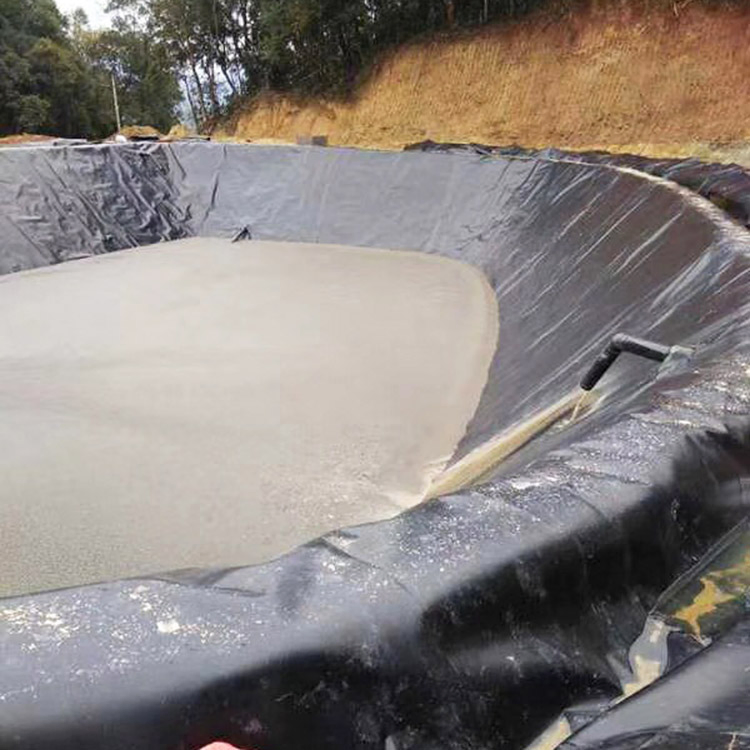Factory Price Supply Underground HDPE Geomembrane for Farm Artificial Lake Liner