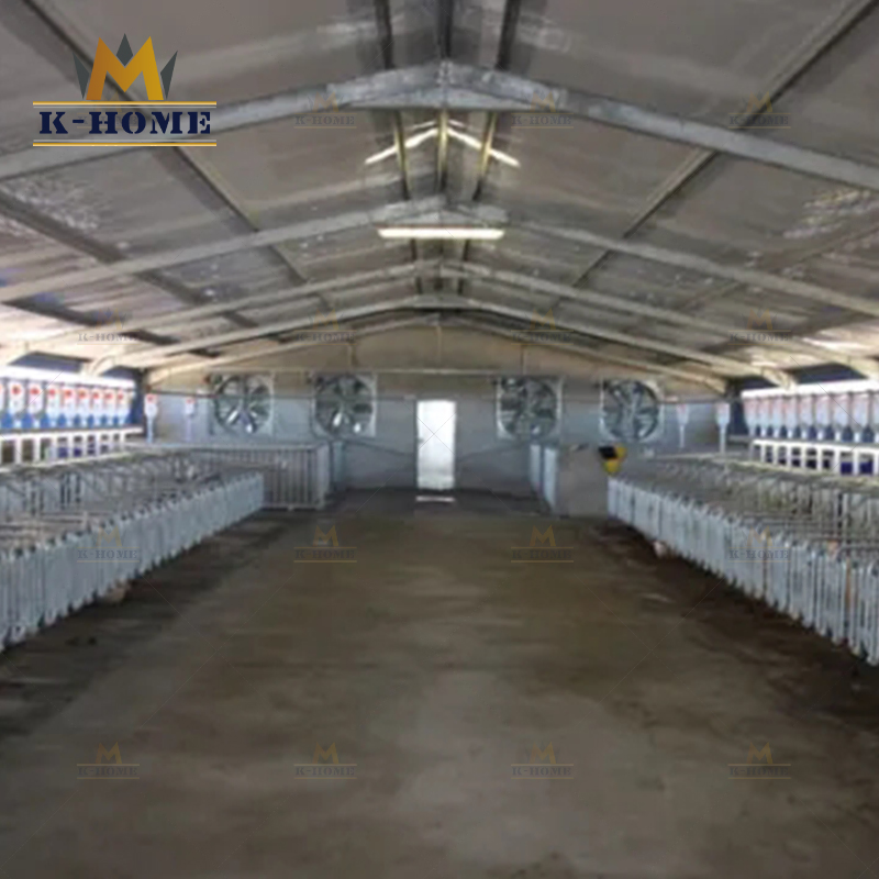Modern Design Steel Structure Chicken Poultry Breeding Shed Poultry Farm