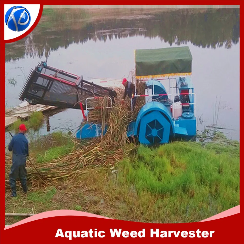 Автоматическая косилка для водорослей KEDA KDWH