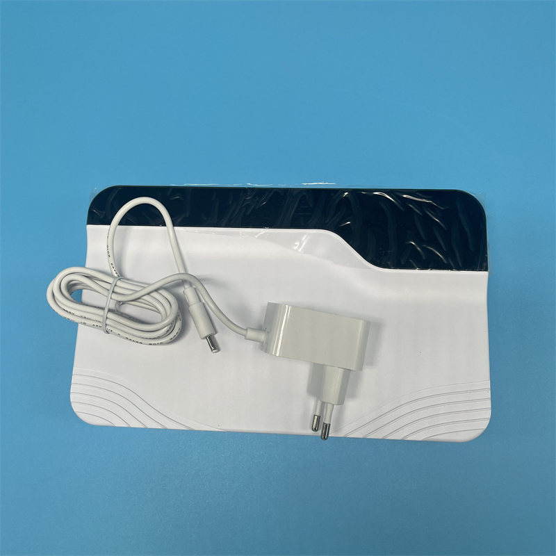 Air Purifier 10 G Household Portable Ozonizer Sterilize 60 G Ozone Generator