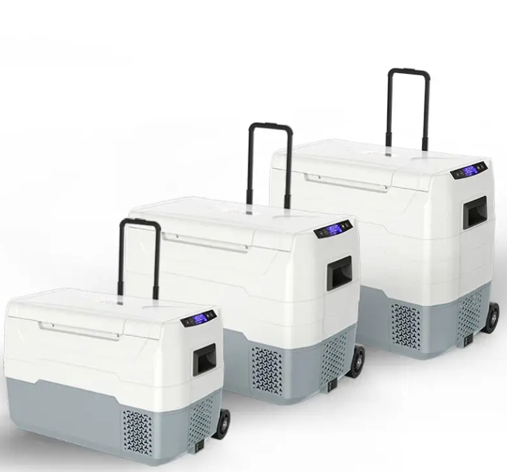 Waycool Teg55 30L Dual Control Mini Car Fridge Refrigerator AC12~24V Low Power Compressor for Outdoor Camping Cars with Wheels