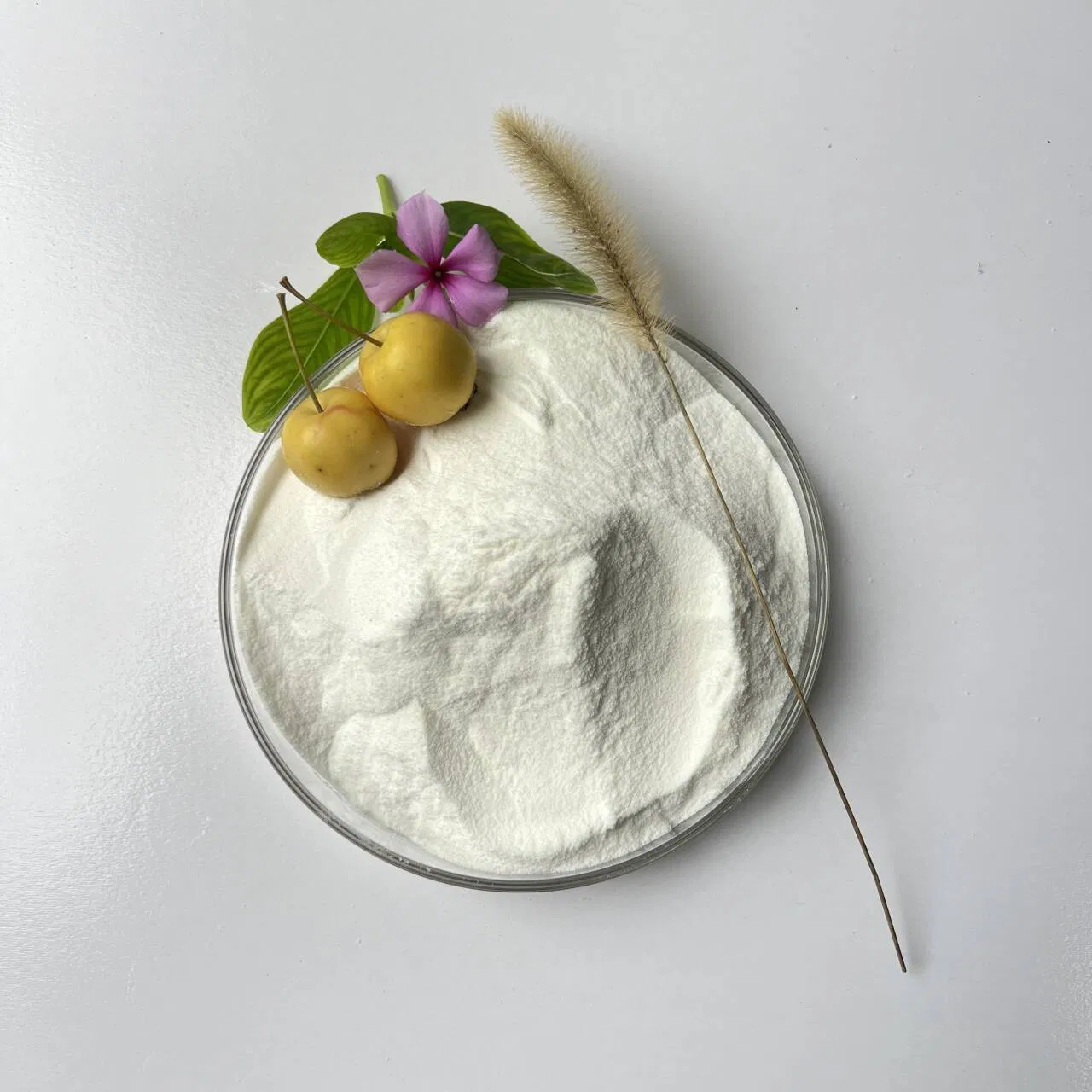 Specialized Production of High-Performance Polycarboxylate Superplasticizer Powder for Cement Mortar