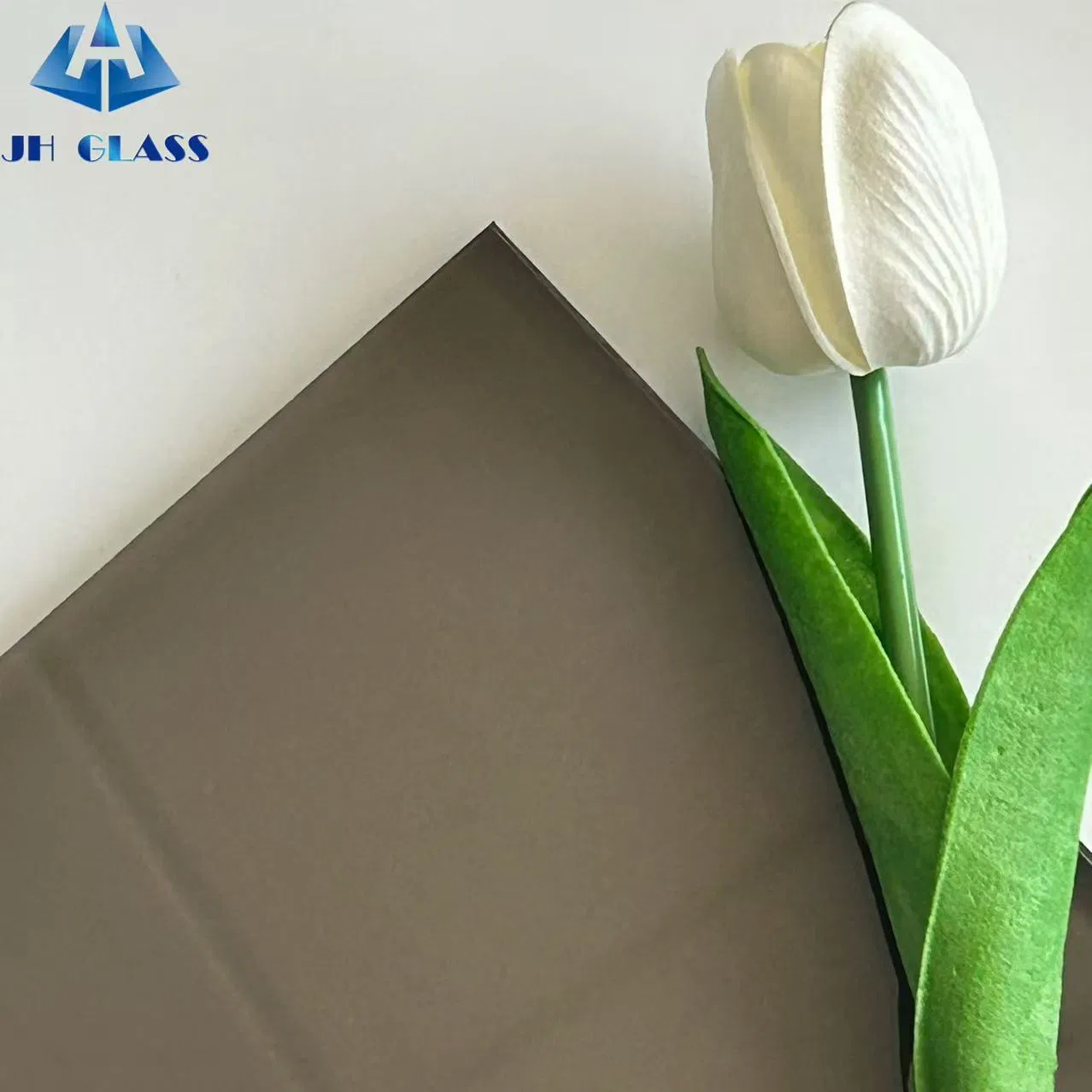 5mm, 6mm, 8mm, 10mm F Green/Black Tinted Glass for Door and Window