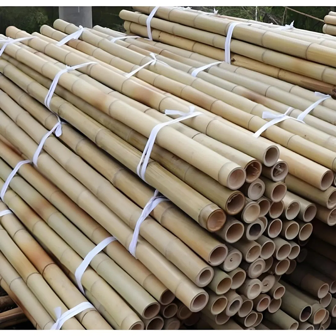 Bulk Large Bamboo Stakes Bamboo Poles and Canes for Farm Planting