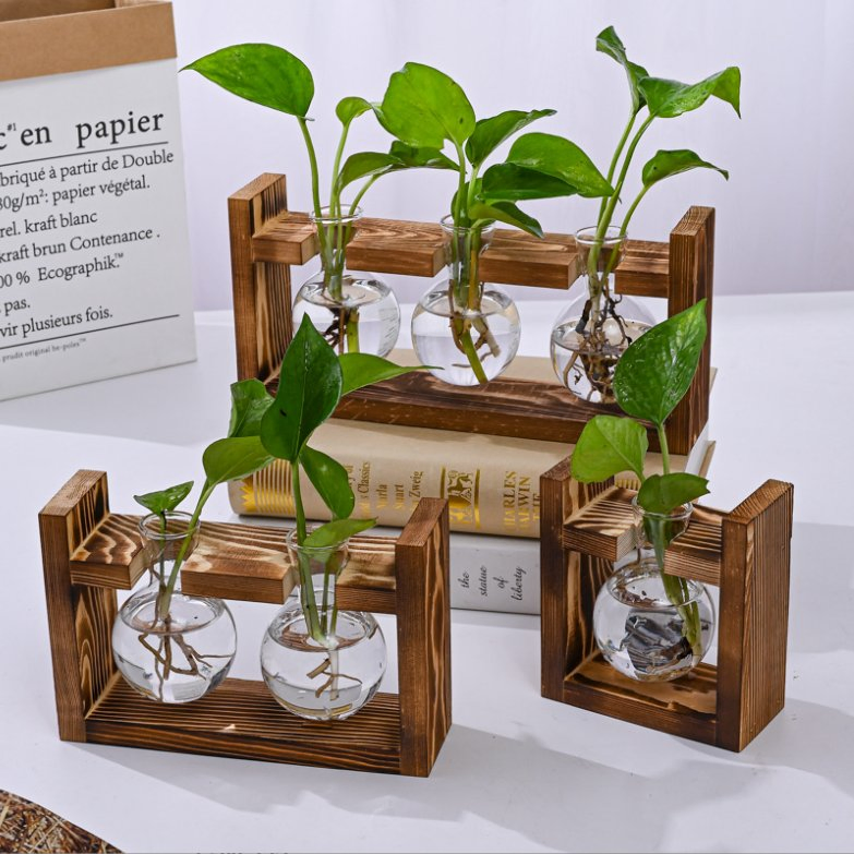 Creative Wooden Frame Hydroponic Small Ins Green IVY Plant Glass Bottle Container Vase