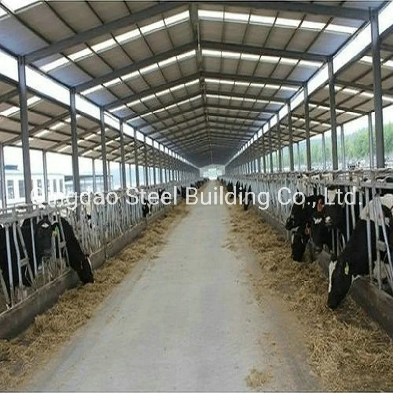 Prefabricated Steel Structure Dairy Poultry Shed Farm House Steel Cow/Cattle House Building