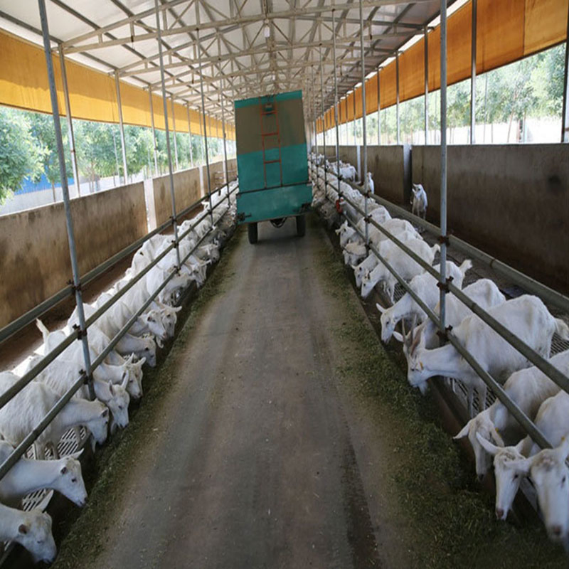 Prefabricated Light High Quality Steel Structure Building Farm