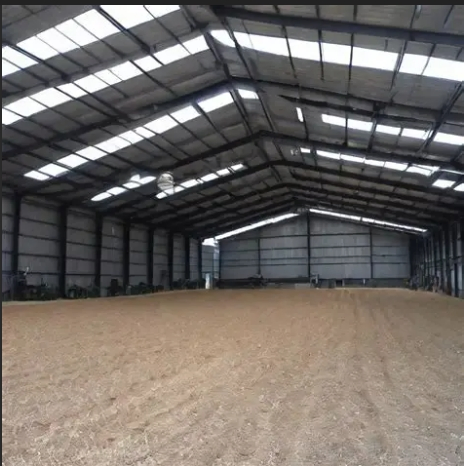 Prefabricated Metal Free Span Light Steel Frame Horse Stable Shed Prefab Steel Portal Frame Big Span Steel Equestrian Sport Horse Riding Arena
