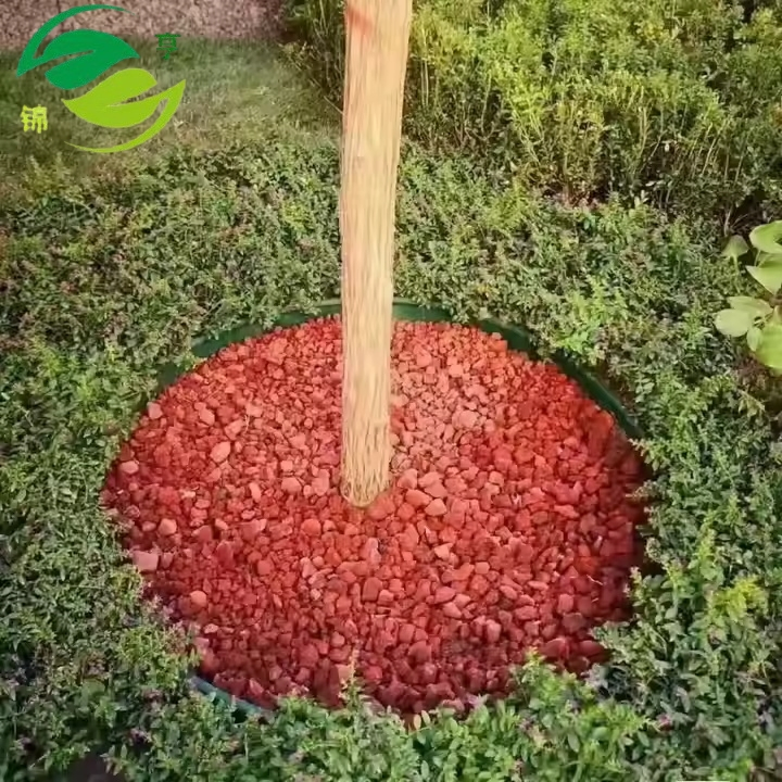 Natural Volcanic Pumice Stone Clean Lava Rock for Aquarium Decoration Lava Stone Volcanic Rock