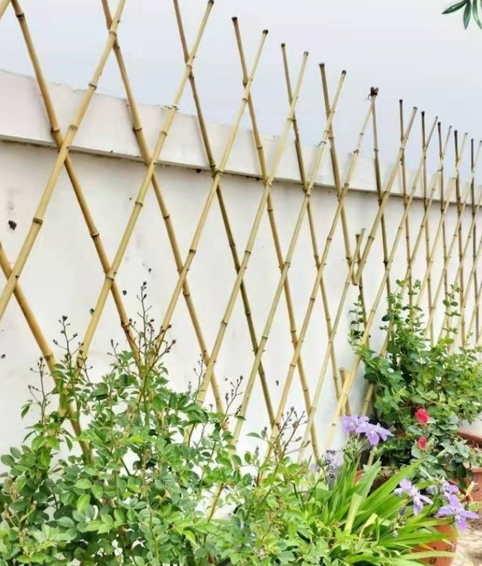 Natural Tonkin Bamboo Fence/Guardrails for Gardens Have a Protective Effect
